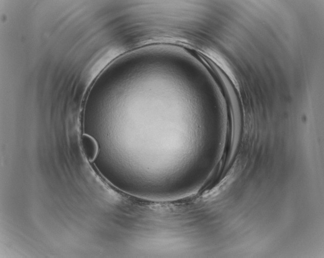X0000090490906200707131324