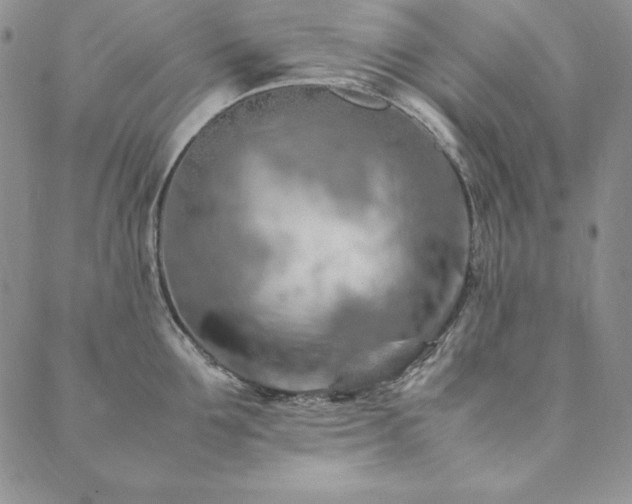 X0000090490907200707131324