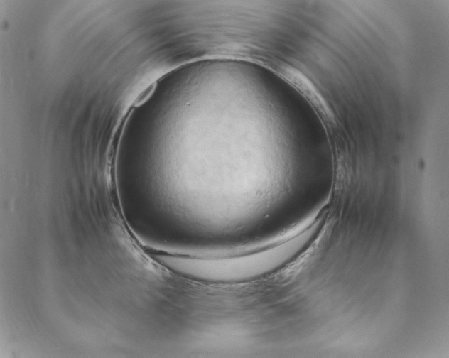 X0000090490908200707131324