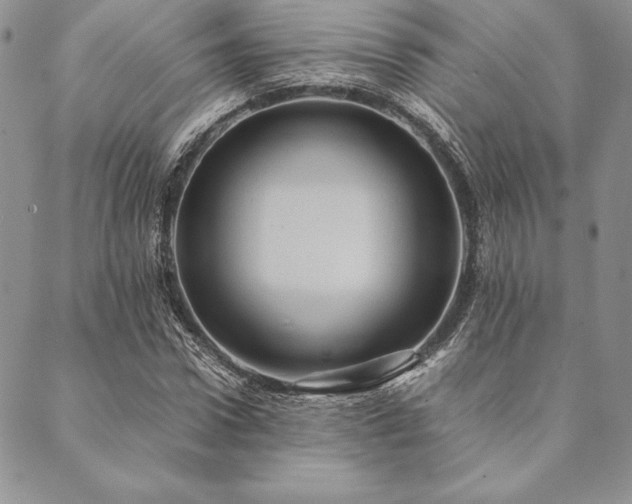 X0000090490922200707131323