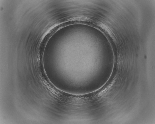 X0000090490923200707131323