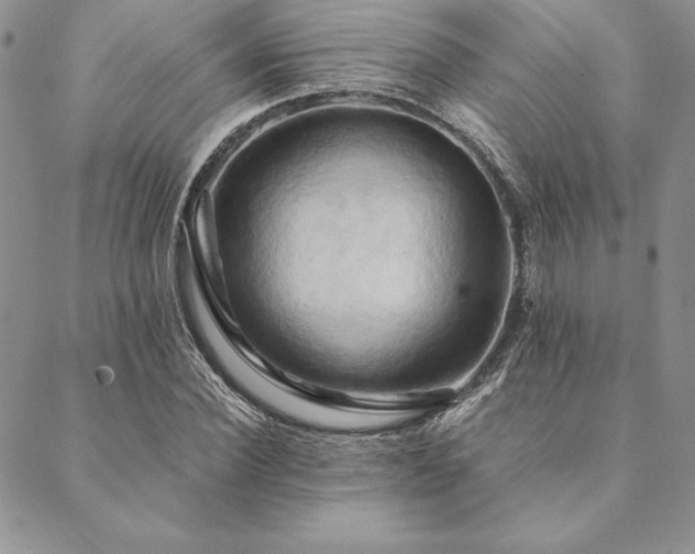 X0000090490924200707131323