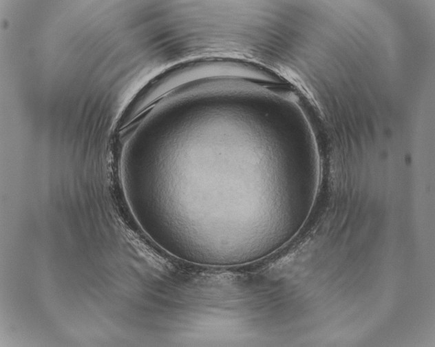 X0000090490926200707131323