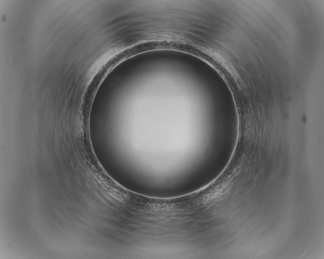 X0000090490927200707131323