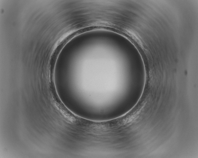 X0000090490931200707131323