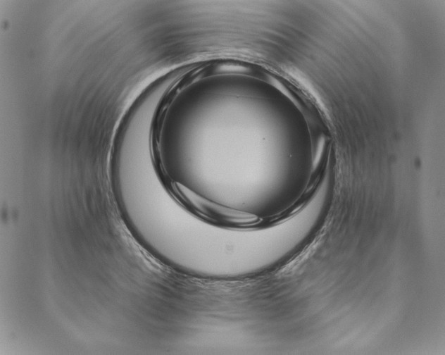 X0000090490932200707131323