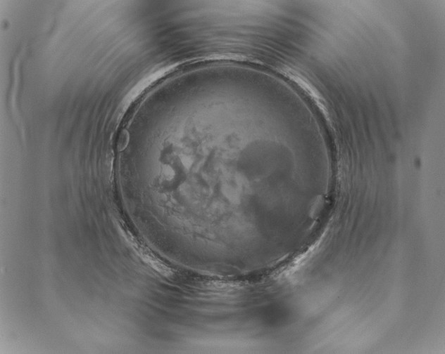 X0000090490933200707131324