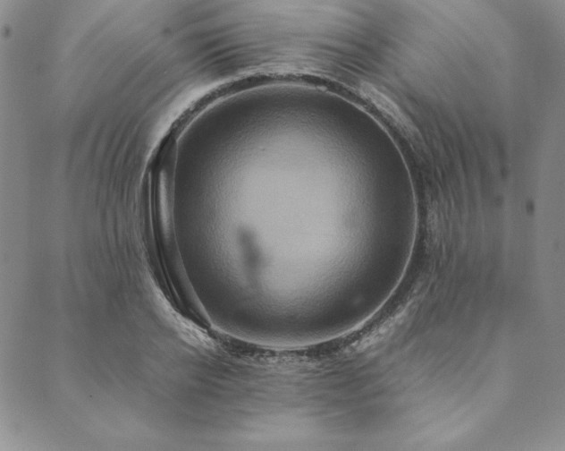 X0000090490934200707131324