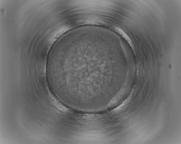 X0000090490938200707131324