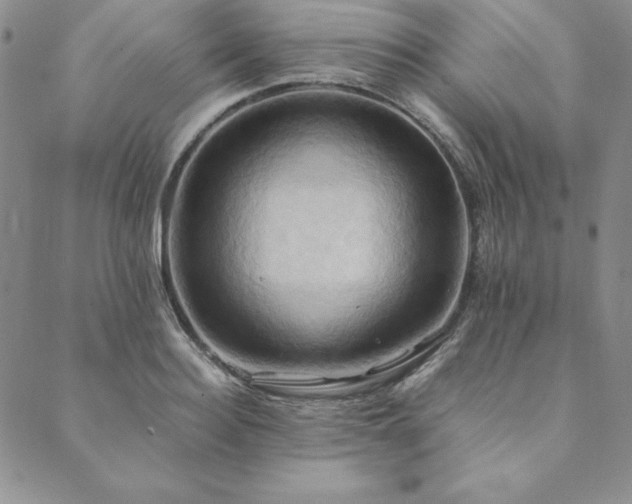 X0000090490940200707131324