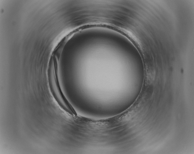 X0000090490943200707131324