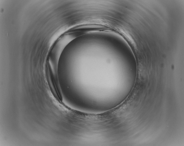 X0000090490944200707131324