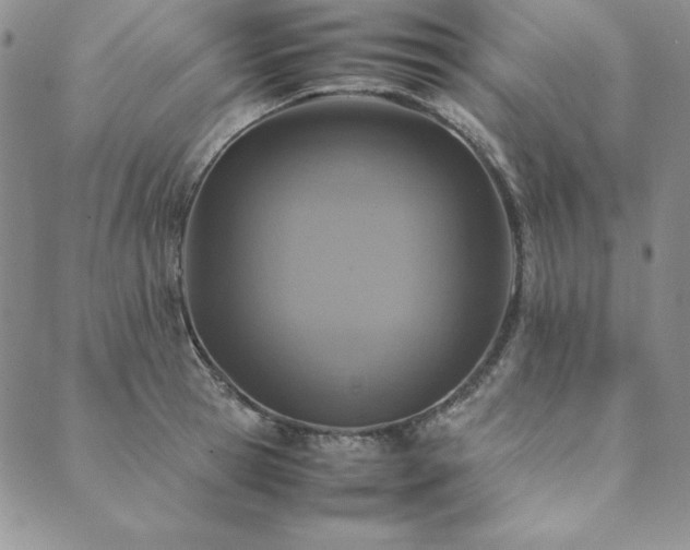 X0000090490945200707131324
