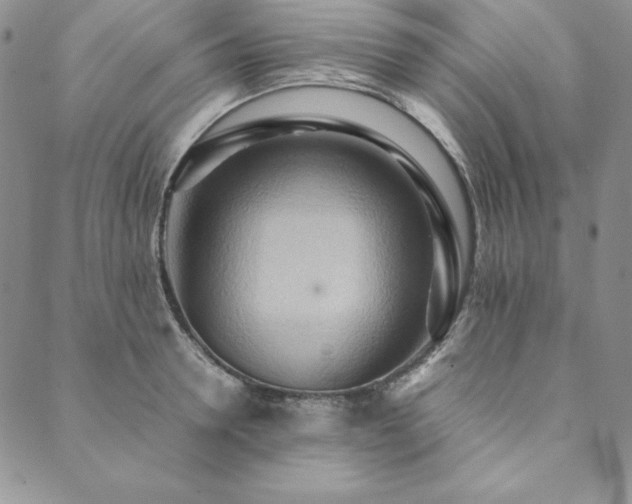 X0000090490946200707131324
