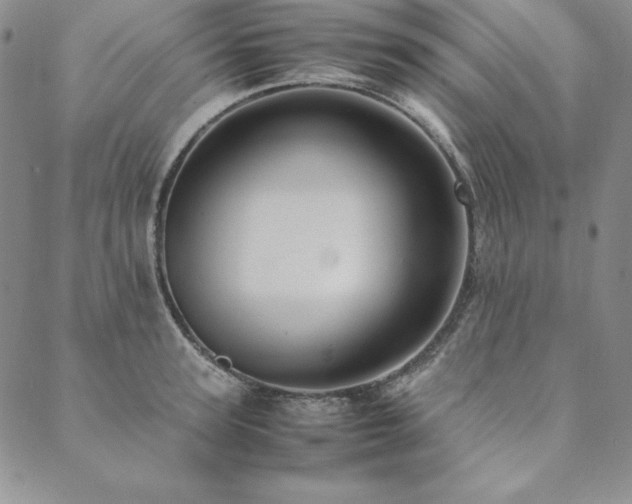 X0000090490947200707131324