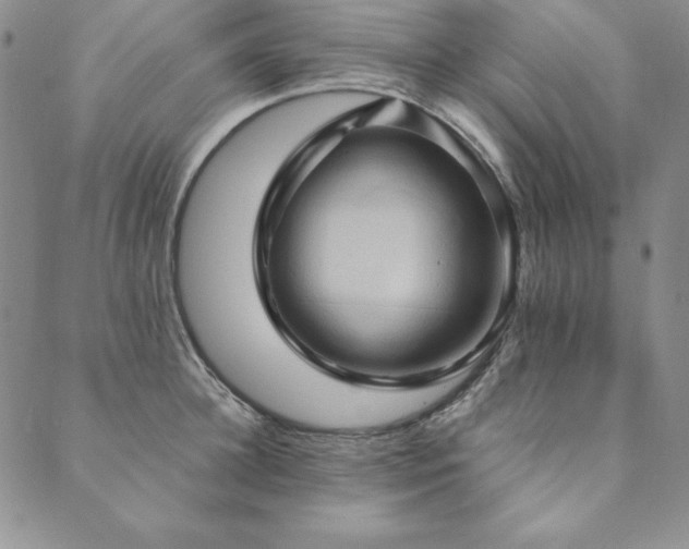 X0000090490948200707131324