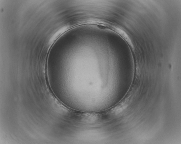 X0000090490954200707131324