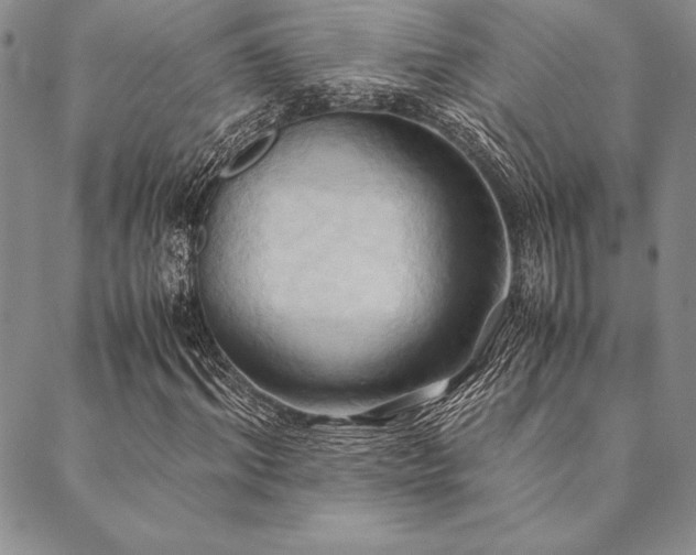 X0000090490964200707131323