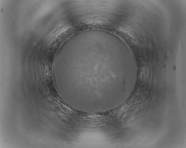 X0000090490966200707131323