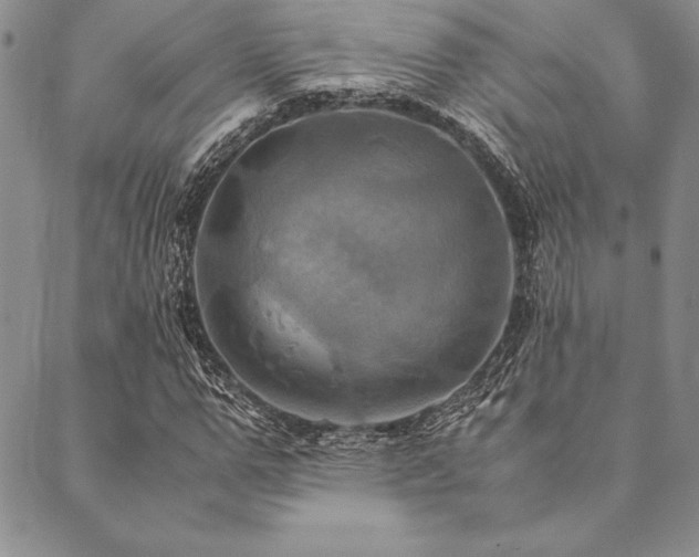 X0000090490967200707131323