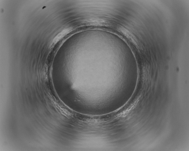 X0000090490970200707131323