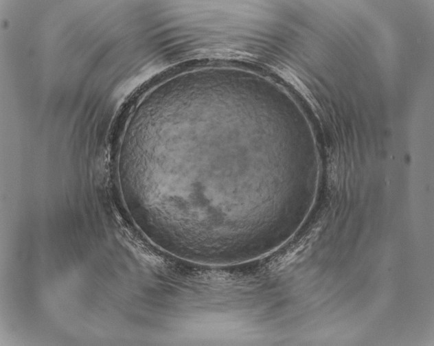 X0000090490971200707131323