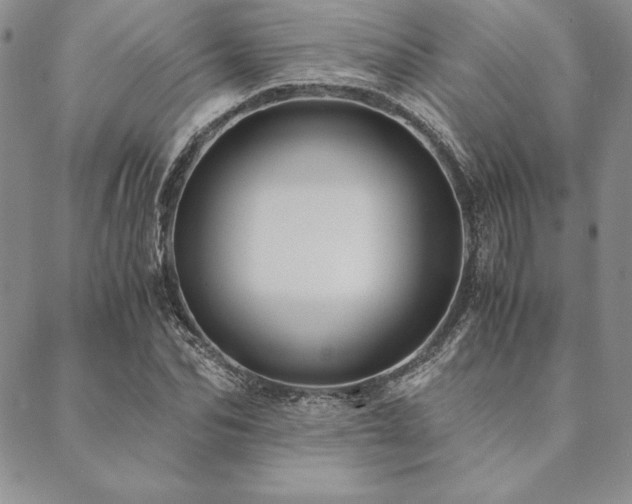 X0000090490974200707131323