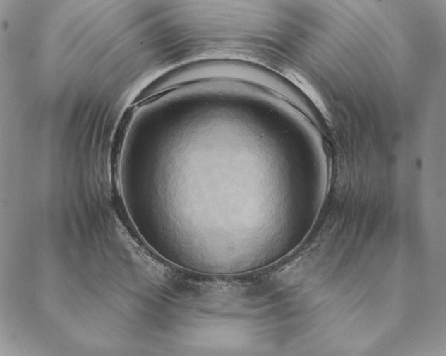 X0000090490980200707131323