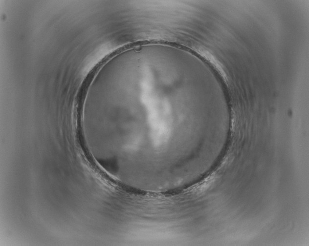 X0000090490983200707131323