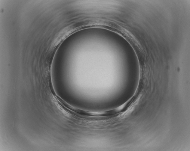 X0000090490985200707131323