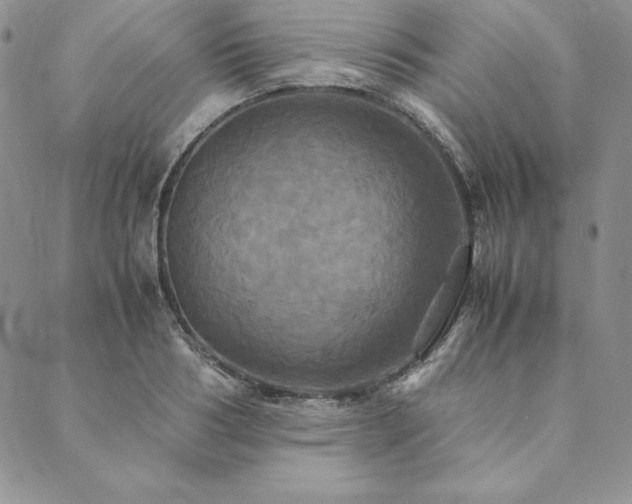 X0000090490986200707131323