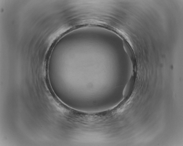 X0000090490987200707131323