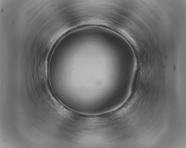 X0000090490988200707131323