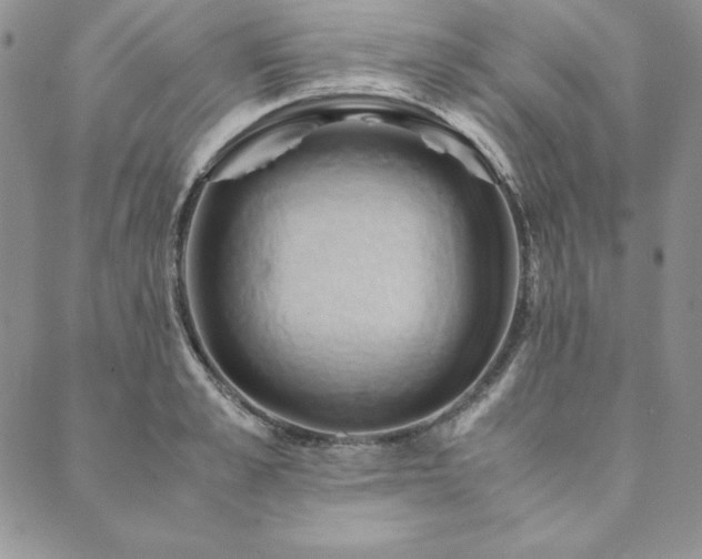 X0000090490989200707131323