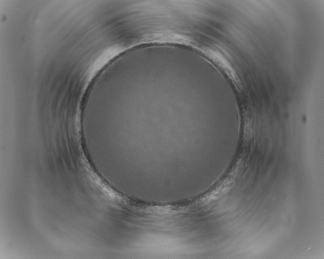 X0000090490990200707131323