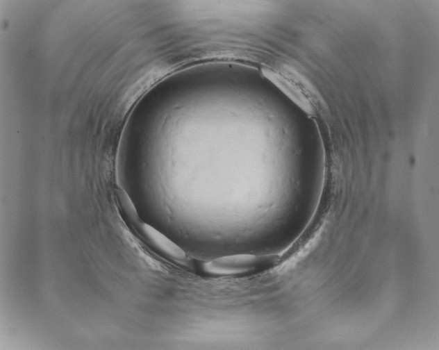X0000090490993200707131323