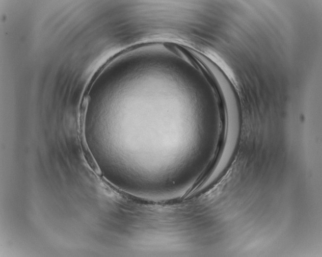 X0000090490996200707131323