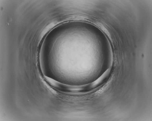 X0000090490997200707131323
