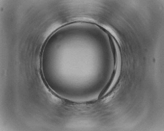 X0000090490999200707131323
