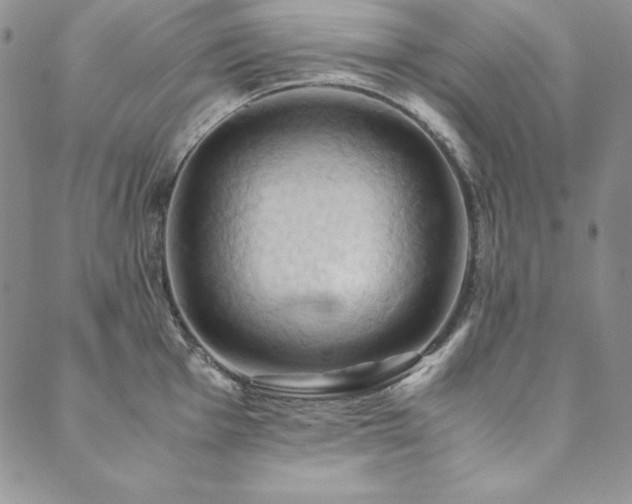 X0000090491001200707131323