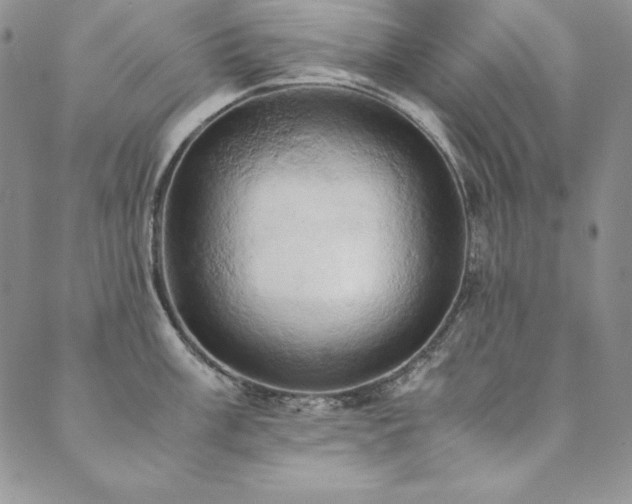 X0000090491003200707131322