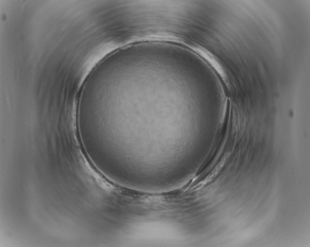 X0000090491006200707131322