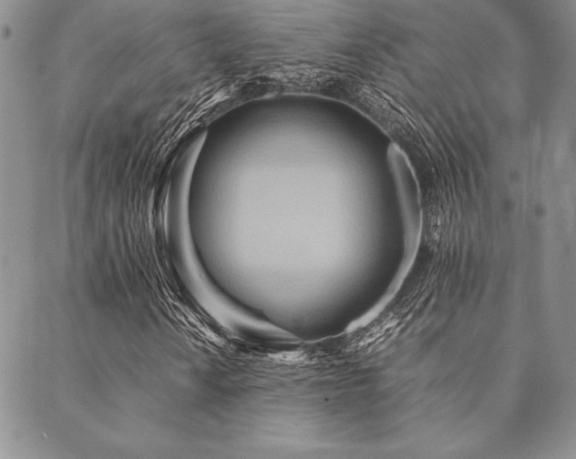 X0000090491010200707131322