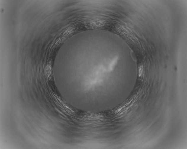 X0000090491011200707131322