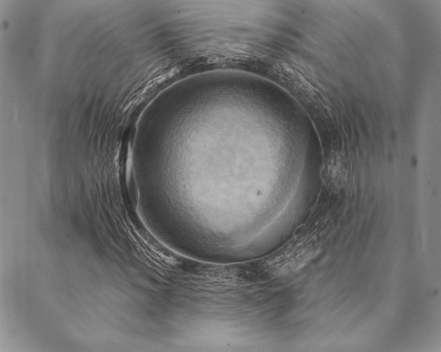 X0000090491012200707131322