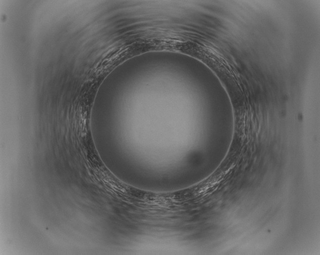X0000090491013200707131322