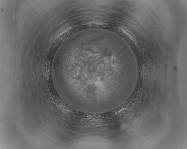 X0000090491015200707131322