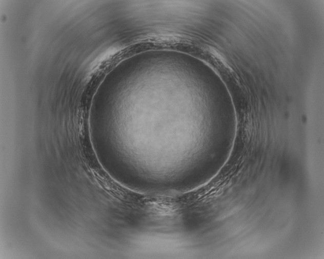 X0000090491016200707131322