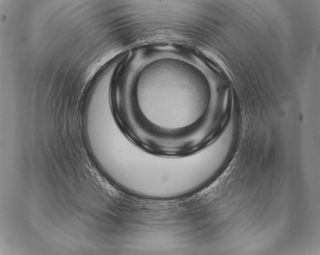 X0000090491018200707131322