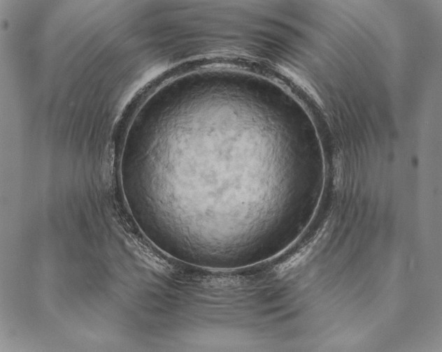X0000090491021200707131322